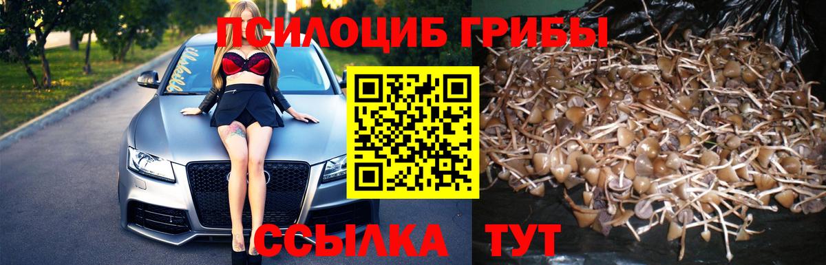 Псилоцибиновые грибы Psilocybine cubensis  Галлюциногенные грибы GOLDEN TEACHER  Миасс  Вход с VPN 